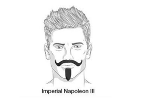 napoleon 3